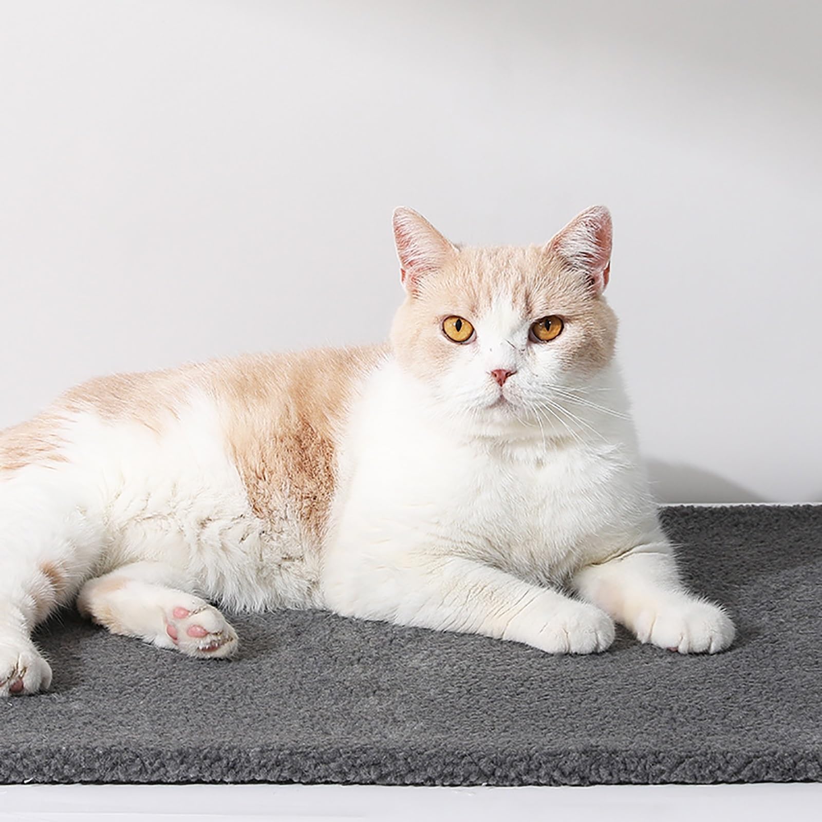2 Stück, Selbstheizende Katzendecke, Selbstheizende Hundedecke, Abnehmbar und Waschbar, Warm und Bequem, für Den Innen- und Außenbereich Geeignet(White,Large)