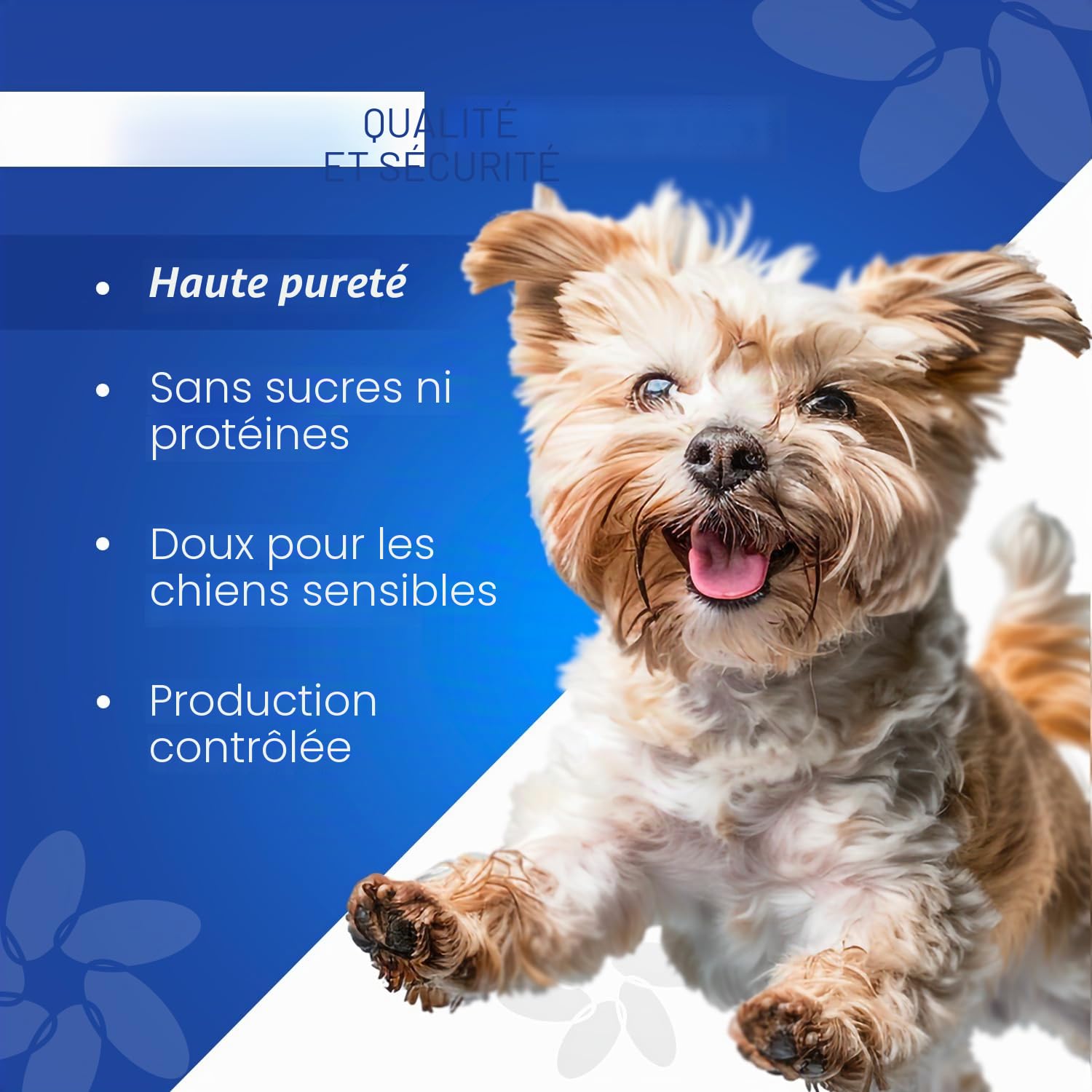 Mobility Care Complément Articulaire Liquide pour Chiens avec Acide Hyaluronique Pur et Vitamine C | Soutien Naturel pour Mobilité, Arthrose, Arthrite et Dysplasie | 100 ML avec Doseur