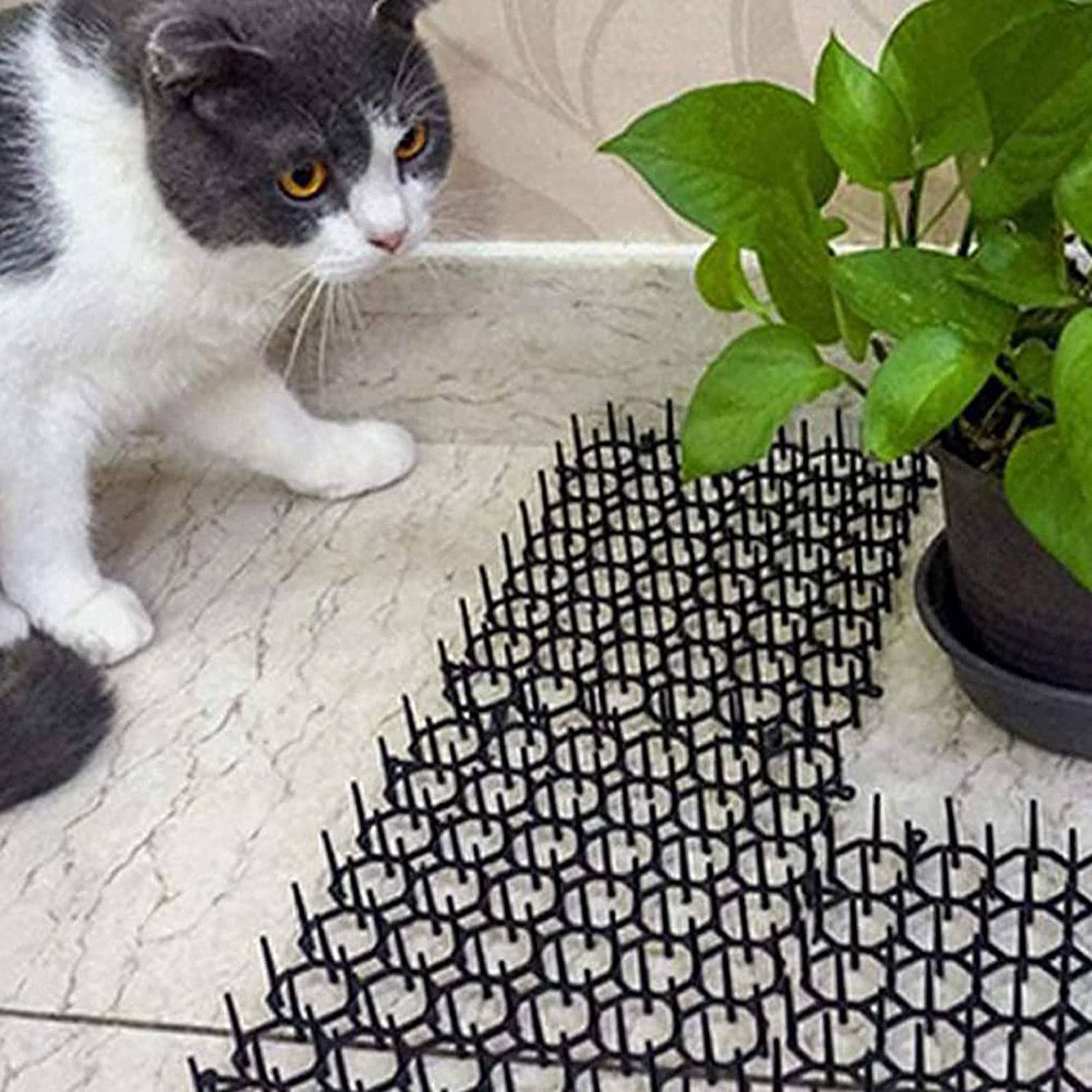 Tappetino per Gatti 36 Pezzi con Punte, Repellente per Punte per Animali, Spina per Scavo per Strisce di Spine da Giardino Punte Deterrenti per Gatti