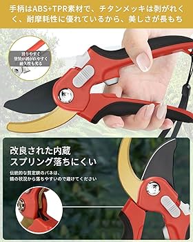 庭の剪定ばさみ果樹園の園芸鋏、庭の剪定ばさみ 訳あり】剪定ばさみ 剪定はさみ 枝切りバサミ 園芸用はさみ 枝