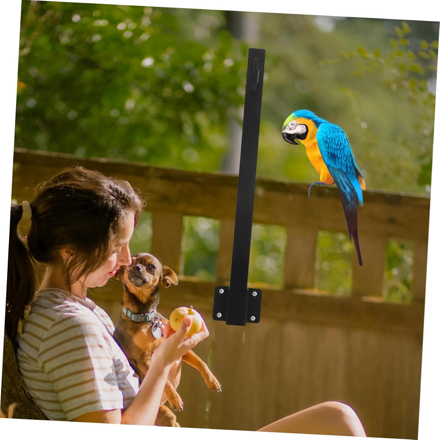 Homoyoyo 4pcs Outdoor String Light Support Poles Resistant Hanging Rods for Terraces and Gardens Easy Installation for Bird Feeders and Decor