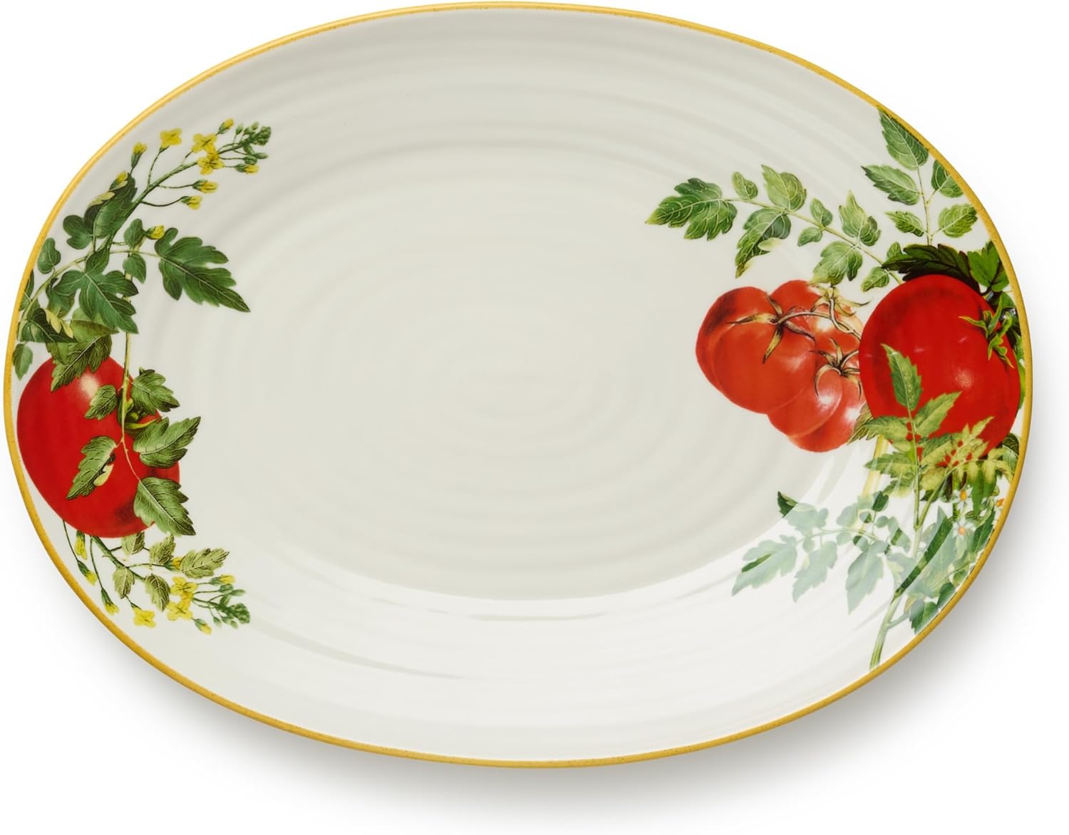 Pomodoro 16-Inch stoneware Oval Serving Platter – Rustic Italian Tomato Vine Design – Vibrant Mediterranean Harvest-Inspired Large Serving Plate for Chicken, Antipasto, Caprese & Holiday Feasts