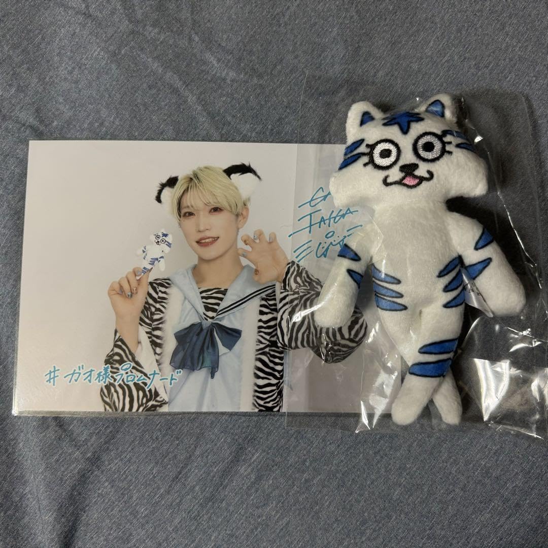 パンダドラゴン たいが ぬいぐるみ