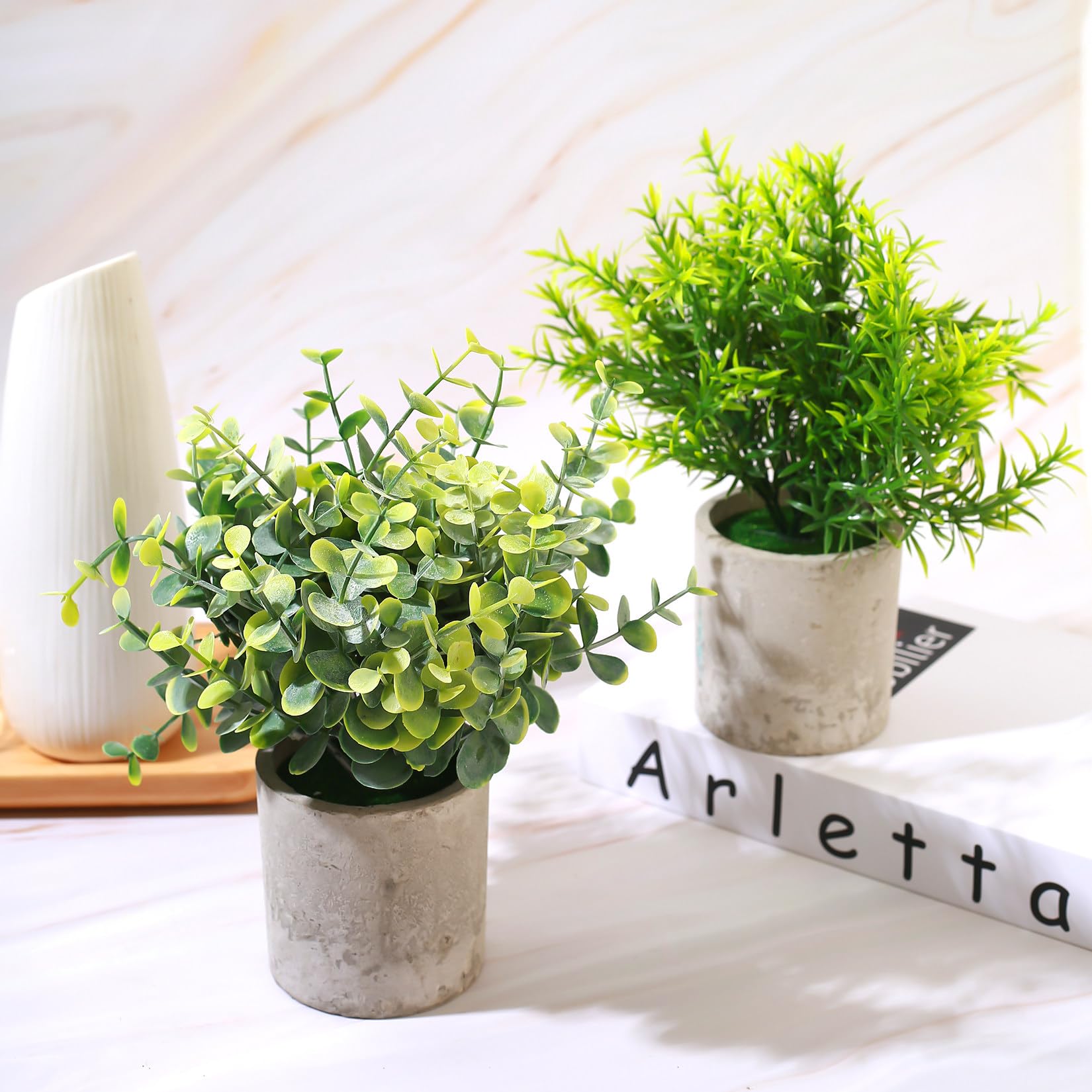 5 Pezzi Piante Finte da Interno, Pianta Finta da Interno, Piccole Piante Artificiali in Vaso, Pianta Finte Serpentine Succulente per Interni, Ufficio, Scrivania, Casa, Camera da Letto, Decorazione