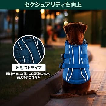 ノンジャンルグッズ大量 楽天市場】お散歩LEDライト 充電式 首輪用 防犯ライト レッド