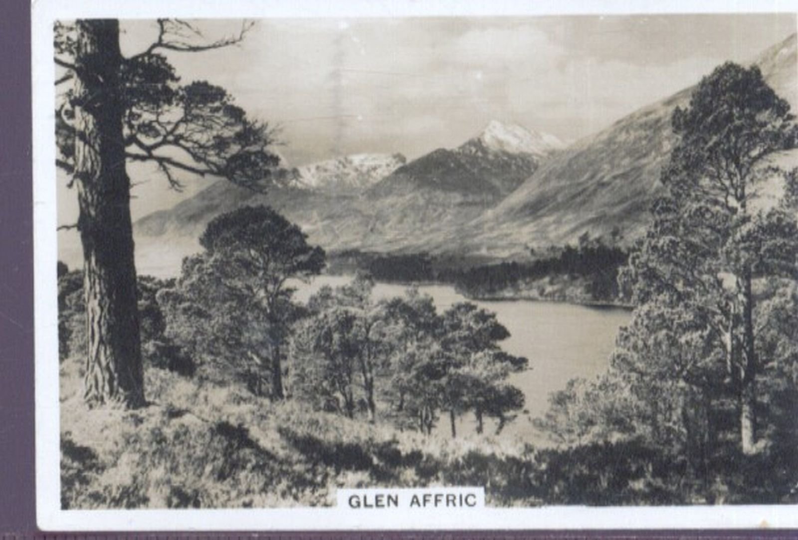 senior service cigarette cards beautiful scotland SENIOR SERVICE CIGARETTE CARD BEAUTIFUL SCOTLAND No.29 GLEN AFFRIC :  Amazon.co.uk: Everything Else