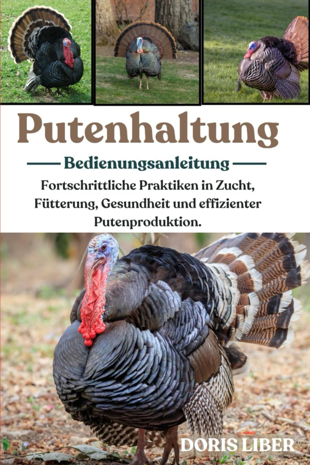 PUTENHALTUNG: Fortschrittliche Praktiken in Zucht, Fütterung, Gesundheit und effizienter Putenproduktion.