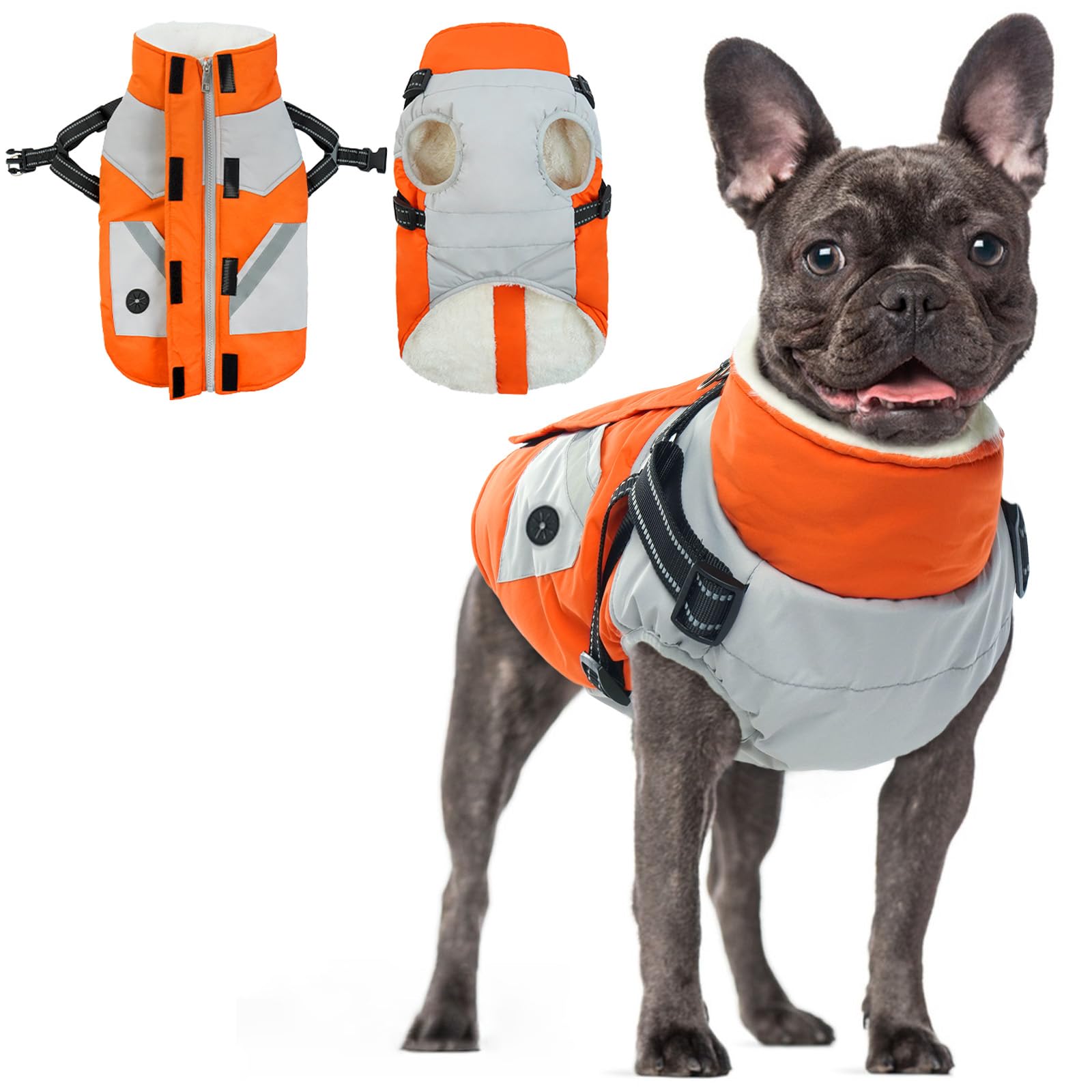 Manteau imperméable pour chien orange S veste d'hiver chaude et coupe-vent pour sport canin