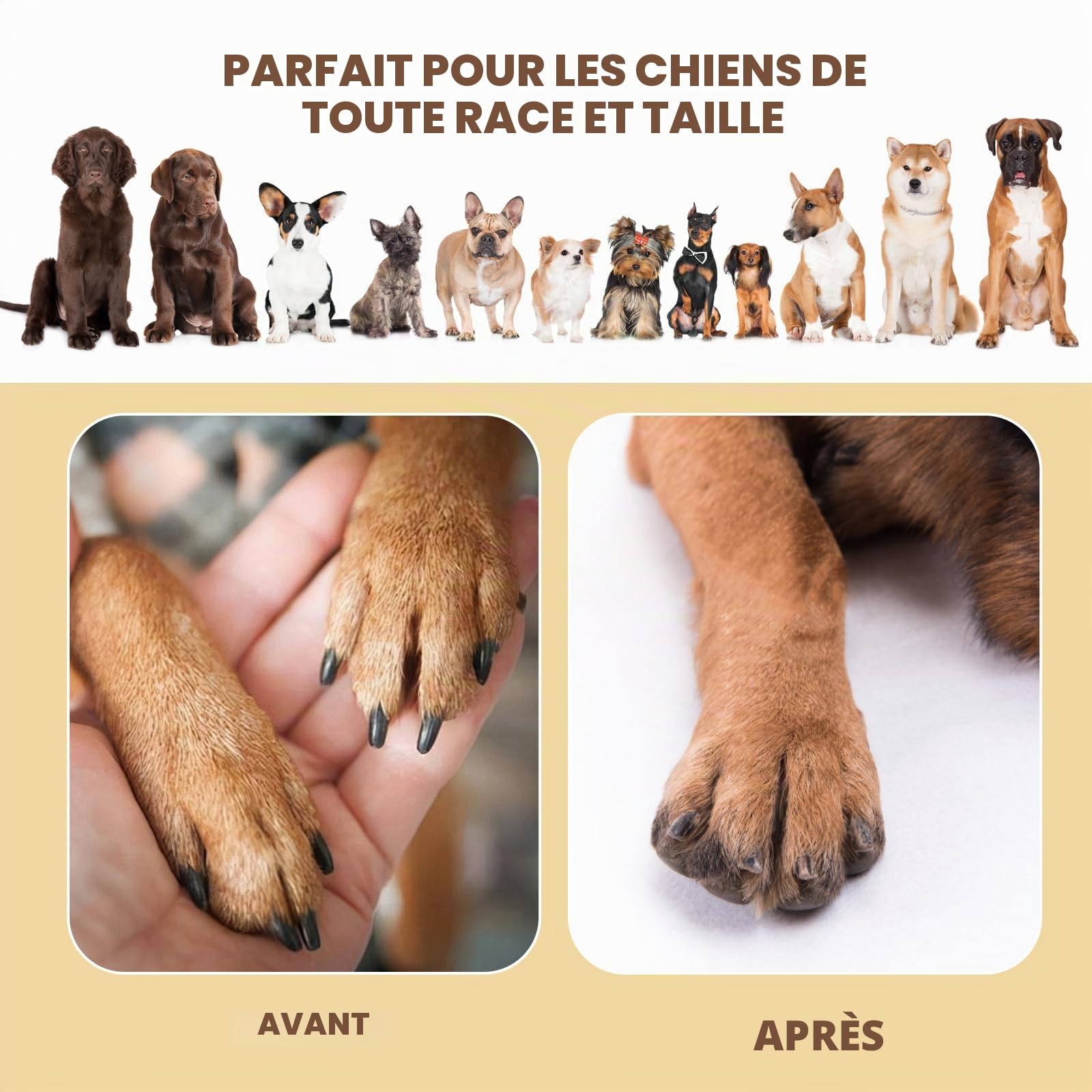 Planche à Griffer pour Chien avec Lime à Ongles – Jouet Anti-Stress | Jeu de Piste 360° avec Compartiments à Friandises. Antidérapant, Nettoyage Facile, Lime à Griffes Sans Stress.
