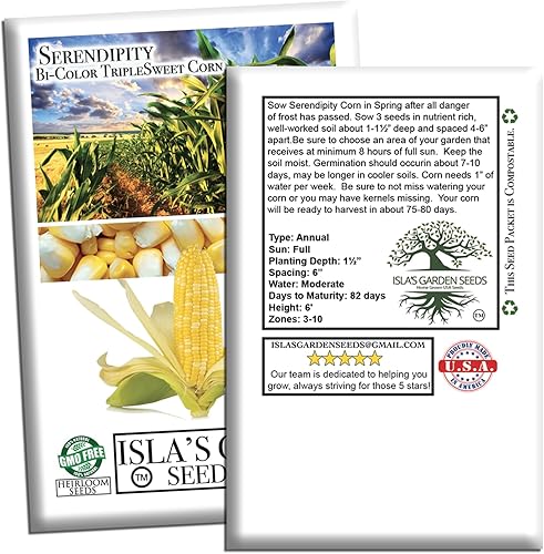 Miniatura 7 de "Serendipity" maíz dulce tricolor bicolor, más de 100 semillas por paquete, semillas de jardín de Isla (semillas de jardín de Isla), semillas sin