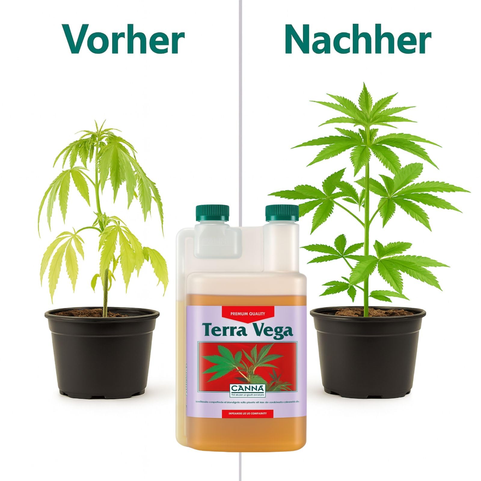 Weedness Canna Terra Vega 5 Liter - Wachstumsphase Grow Anbau Indoor Wuchs Dünger Bio Tomaten Gurken Flüssigdünger Organischer Wachstum