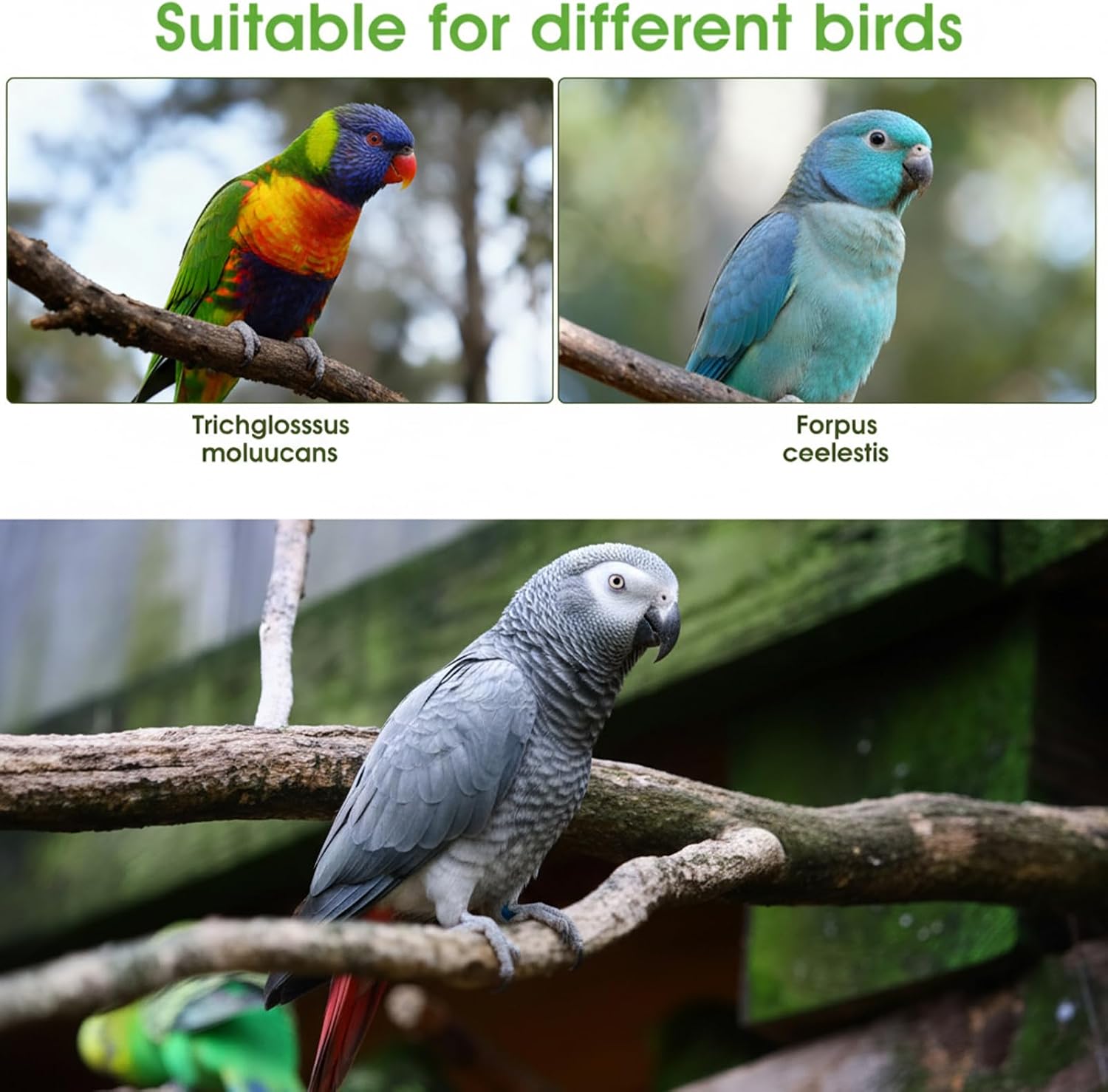 4 Pcs Bird Diaper, Parrot Diapers with Waterproof Inner