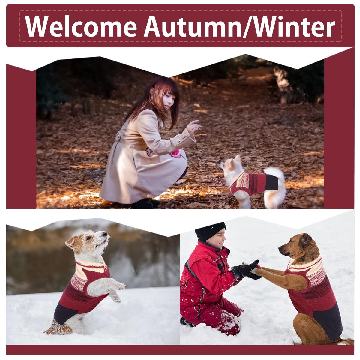 Amazon | QUEENMORE 犬服 冬 プレッピーセーター ドッグウェア 犬の服