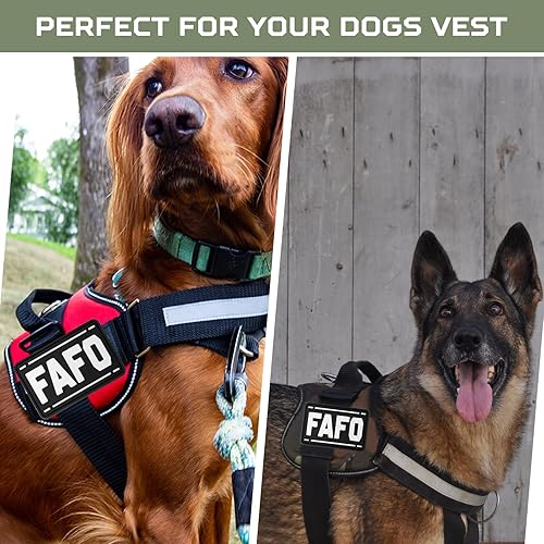 Miniatura 5 de FAFO - Parche de PVC  1 parche de Fuck Around and Find Out, divertido parche táctico, parche de gancho y bucle de moral militar para mochilas,