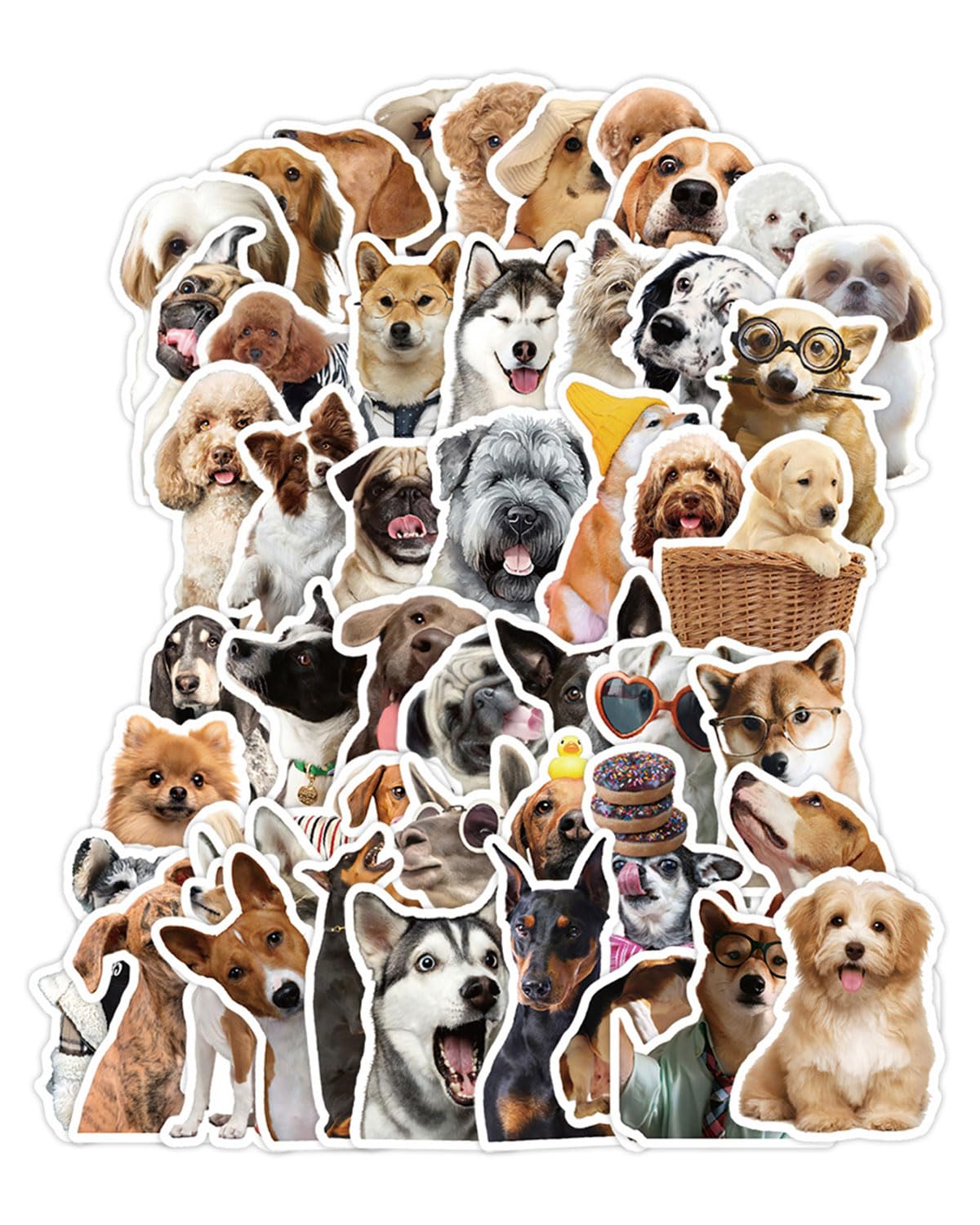 Set di adesivi divertenti, 50pcs simpatici adesivi per cani,adesivi in vinile impermeabili,decalcomanie estetiche per gli amanti dei cani,bottiglia d'acqua,album di ritagli