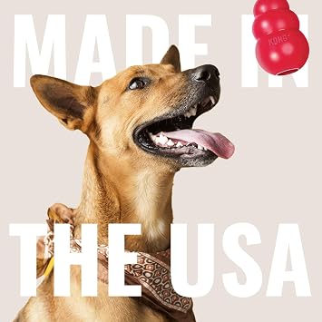 KONG Ring, Natural Rubber Chew Toy for Dental Health, for Medium/Large Dogs | KONG Natural Rubber Ring Toy That Supports Healthy Chewing Habits, Dog Dental Health & Natural Play Instincts