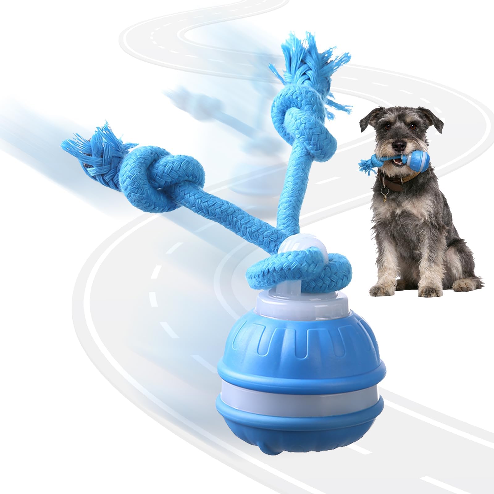 BIRDTOBR Interactive Dog Ball Toys, Smart Interactive Dog Toys for Boredom, Automatic Active Rolling Ball with Tail for Dogs, Motion Activated Toy Balls for Puppy Small Medium Dogs (Blue)