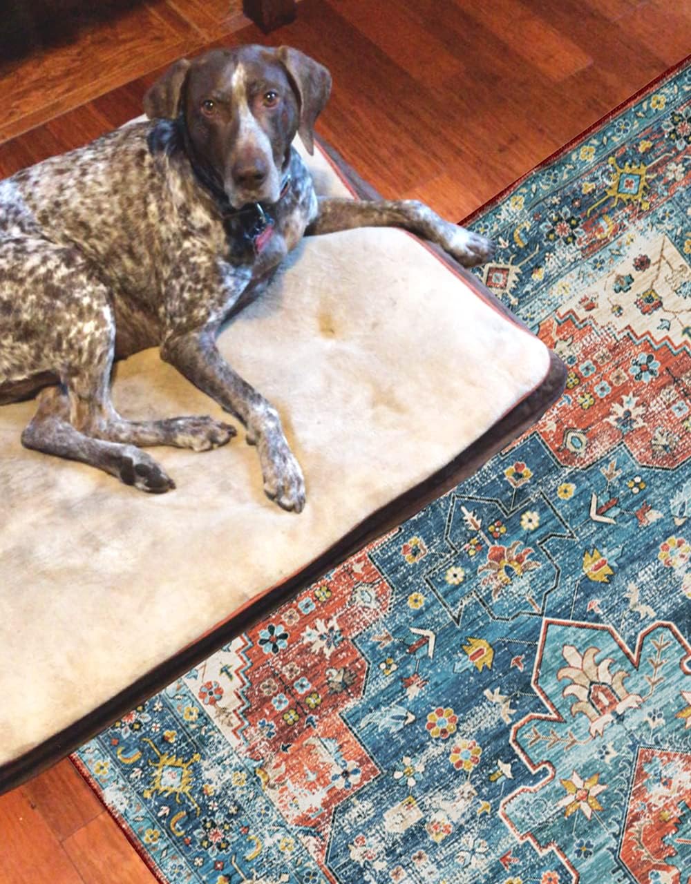 Linon Home Decor Products The Anywhere Washable Rug Beasley Teal & Rust 3' X 5' Accent Rug