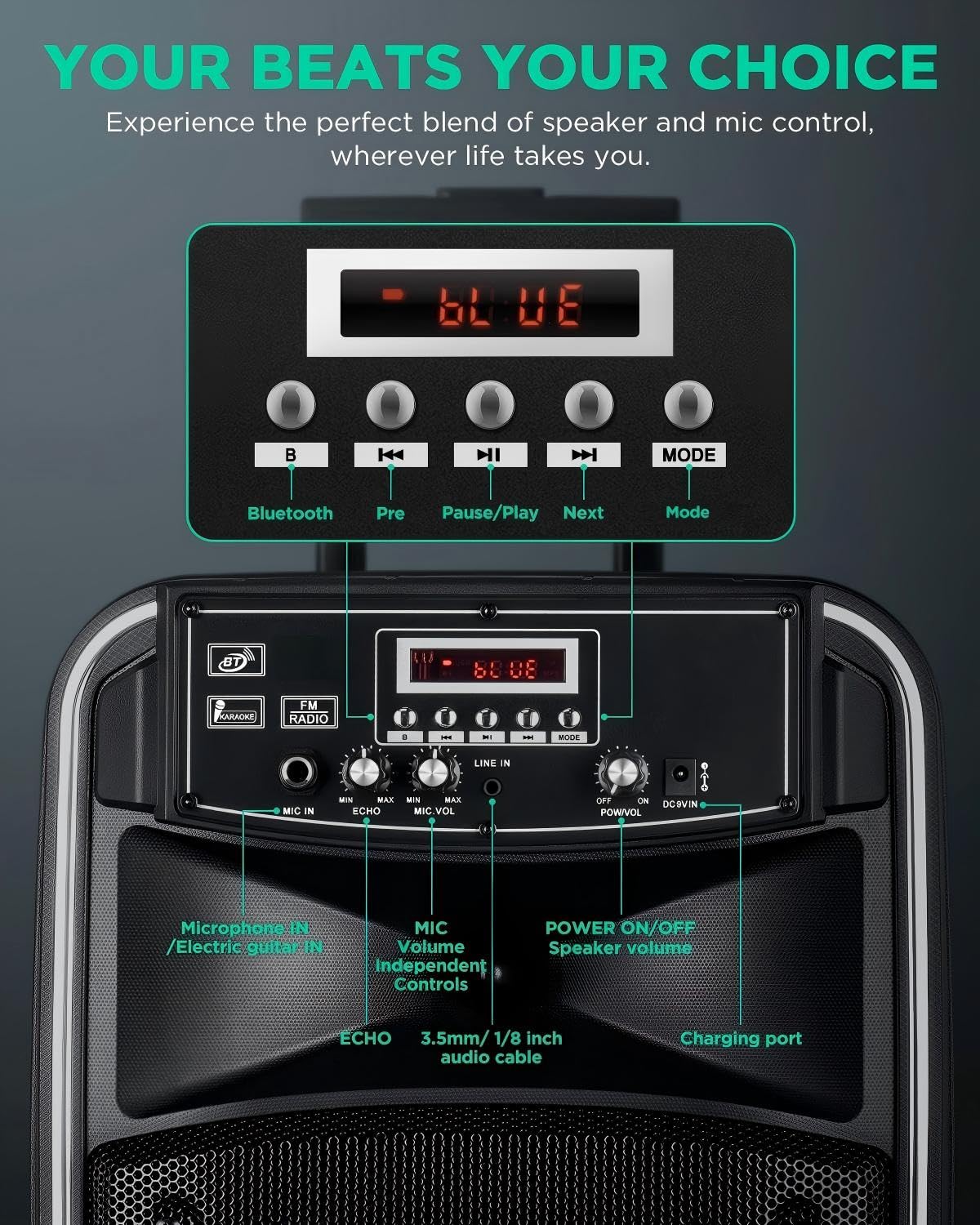 8 Zoll Tragbare PA Anlage Karaoke Maschine mit 2 Funkmikrofonen, Bluetooth Lautsprecher Musikbox, LINE IN, FM Radio – Mobile Partybox für Erwachsene & Kinder
