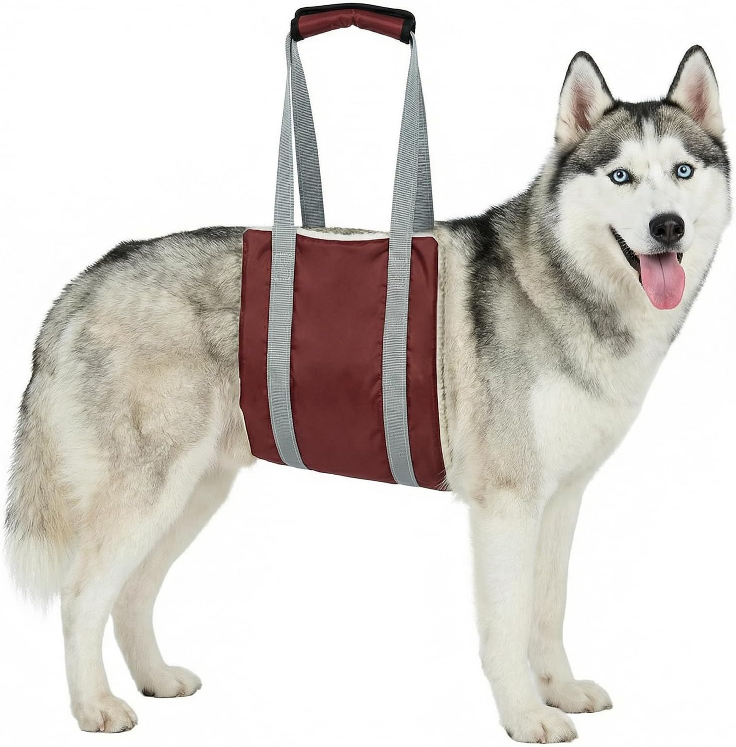 Dog Lift Harness Portable Dog Sling: Hind Leg Support Soft Lift Harness, Hip or Rear Support Sling for Dogs, Helps Senior, Injured, Disabled or After ACL Surgery Dogs