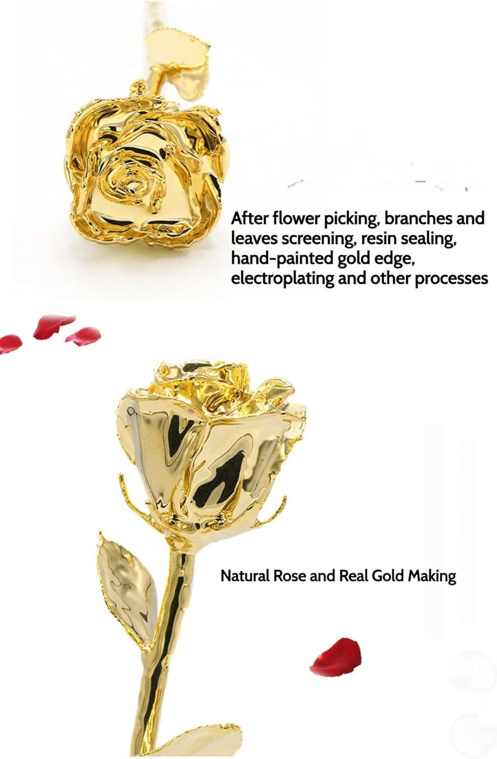 Eternal Love 24K Gold Dipped Real Rose – Handcrafted Forever Flower in Luxurious Display Case | Unique Anniversary, Valentine’s Day for Her, Wife, Girlfriend