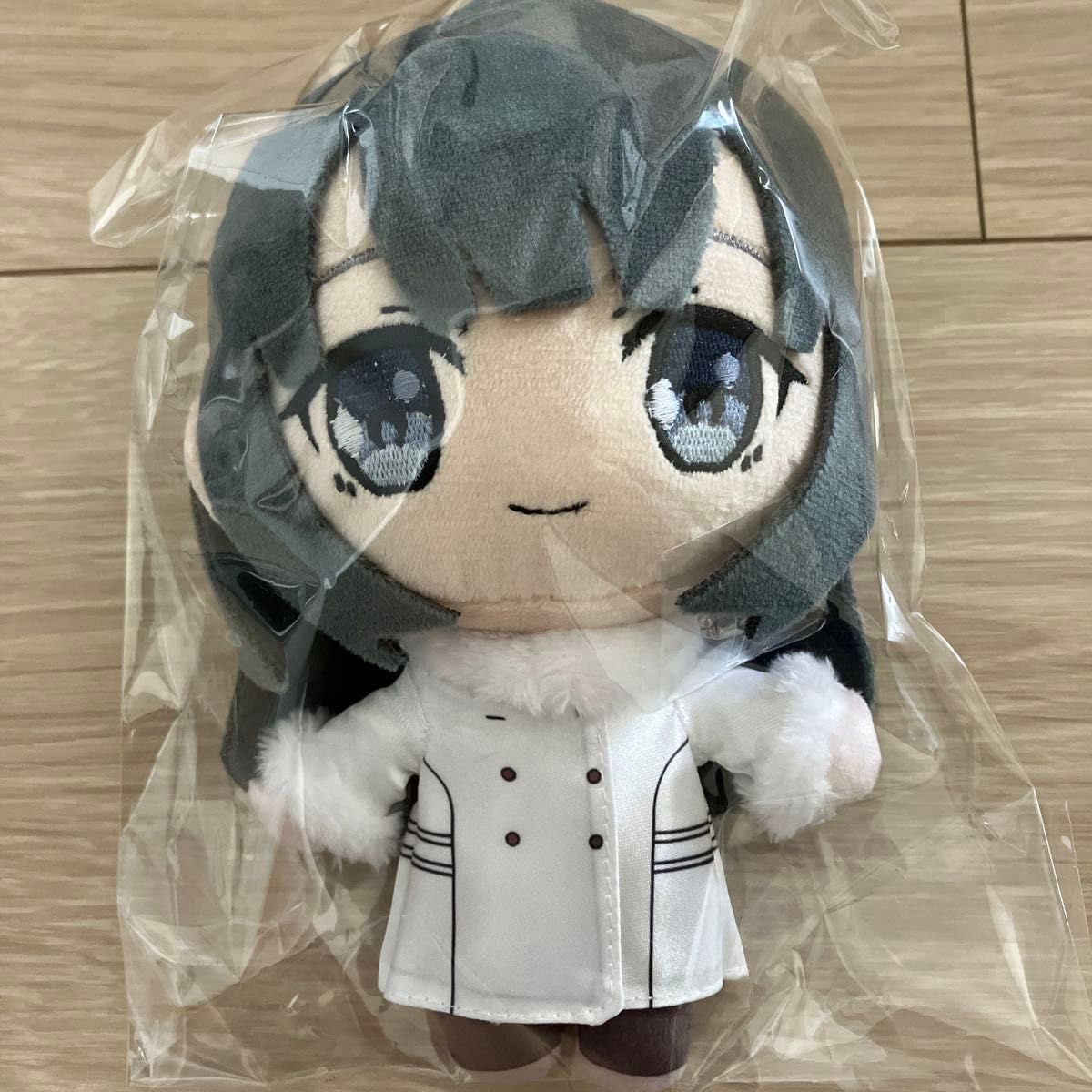 Amazon.co.jp: 青春ブタ野郎はスクールメモリーの夢を見ない 牧之原 