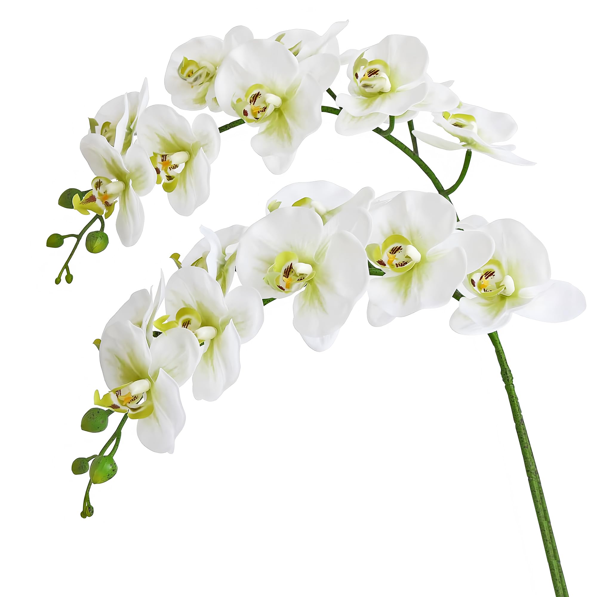 Htmeing 38 Inch Artificial Phalaenopsis Flowers Branches Real Touch (Not Silk) Orchids Flowers for Home Office Wedding Decoration,Pack of 2 (Green