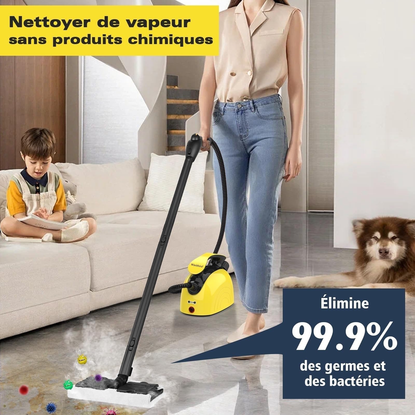 Waitbird Nettoyeur à vapeur, Nettoyeur à vapeur domestique, vapeur puissante avec 21 accessoires, haute température 248 ° F, idéal pour les planchers, canapés, décoration intérieure, Adaptateur