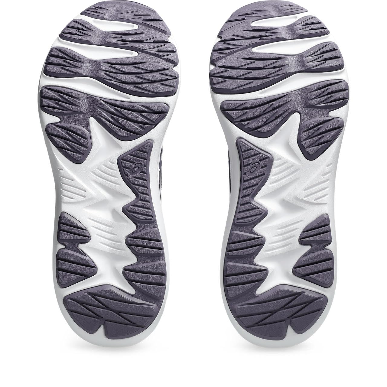 Asics Jolt 5 SneakerMujer