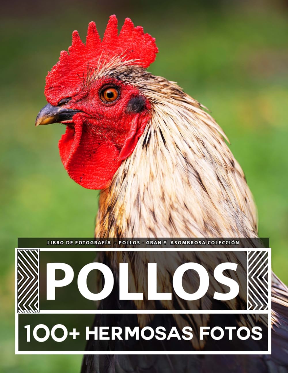 Libro De Fotografía - Pollos - Gran y Asombrosa Colección: 100 Hermosas Fotos En Este Fantástico Libro De Fotos De Pollos - Para Niños y Adultos
