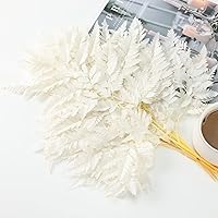 TAVKITE Preserved White Ferns, 10 Pack Dried Boston Ferns with Stems 15" - Real Leaves for Wedding Bouquets, Home Decor, Vase Filler