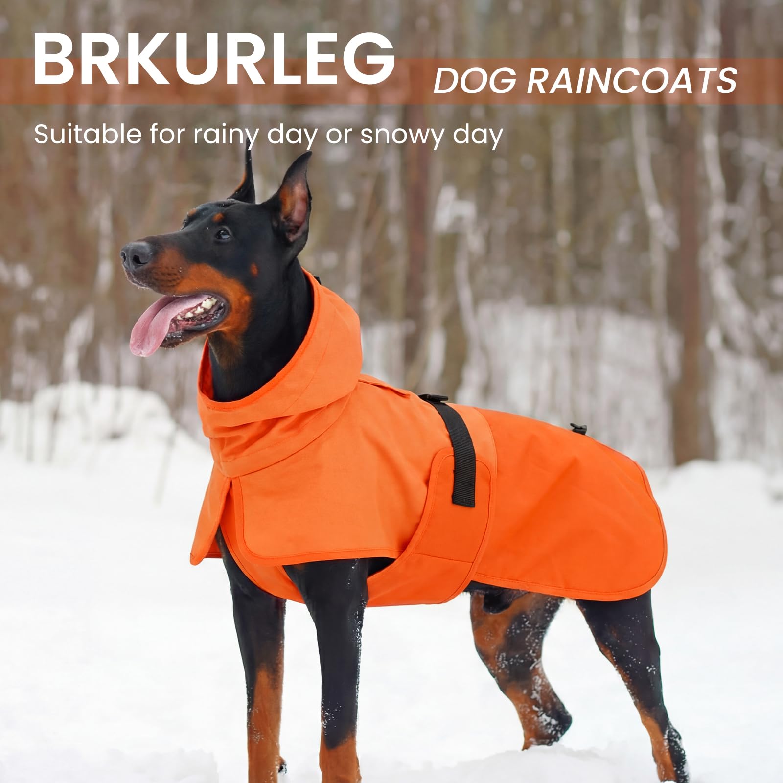BRKURLEG Hunderegenmantel - wasserdichte Regenjacke mit Kapuze - Orange - XXL