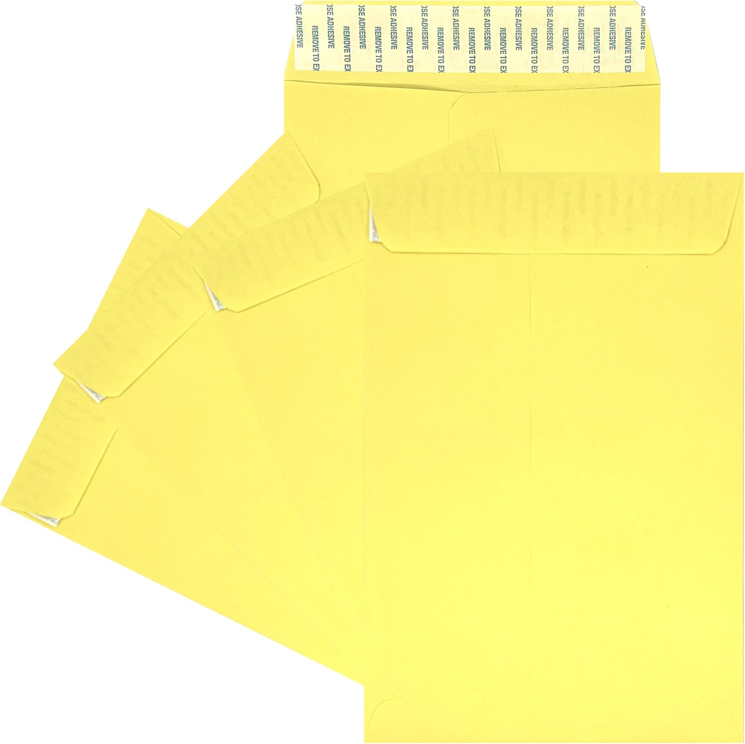 100 Minas Envelope 6" x 9" Catalog Envelopes, Peel & Seal