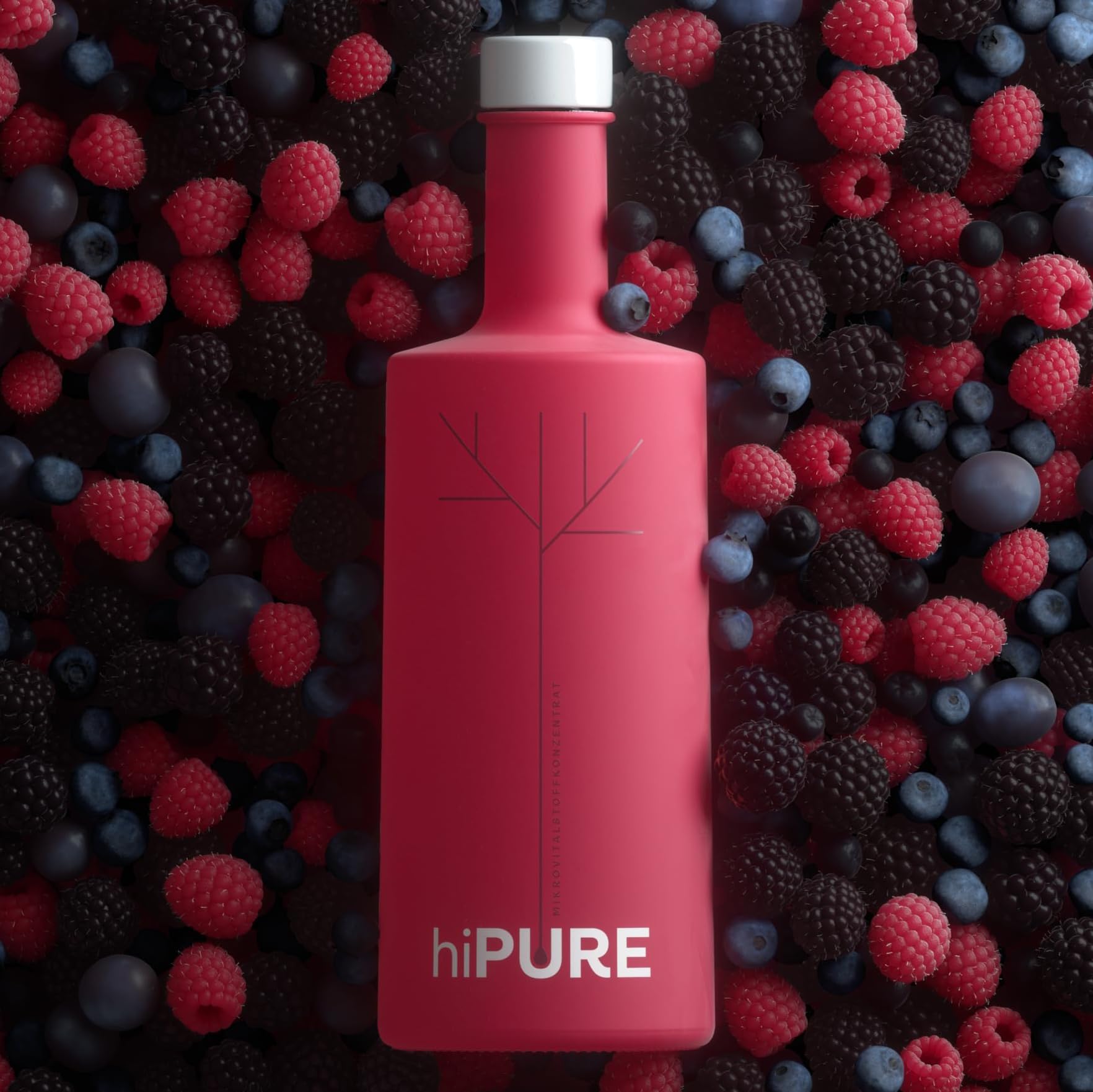 Mikronährstoffkonzentrat 500 ml – Vitamine, Mineralstoffe, Spurenelemente & Antioxidantien aus heimischen Beeren & Früchten für Energie, Haut & Immunsystem – für die ganze Familie