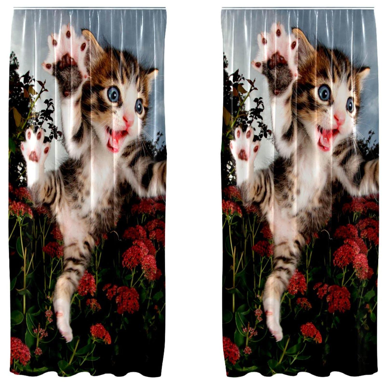 Cortinas de gato que dan calidez y ternura al dormitorio de tus hijos de 55x84 pulgadas