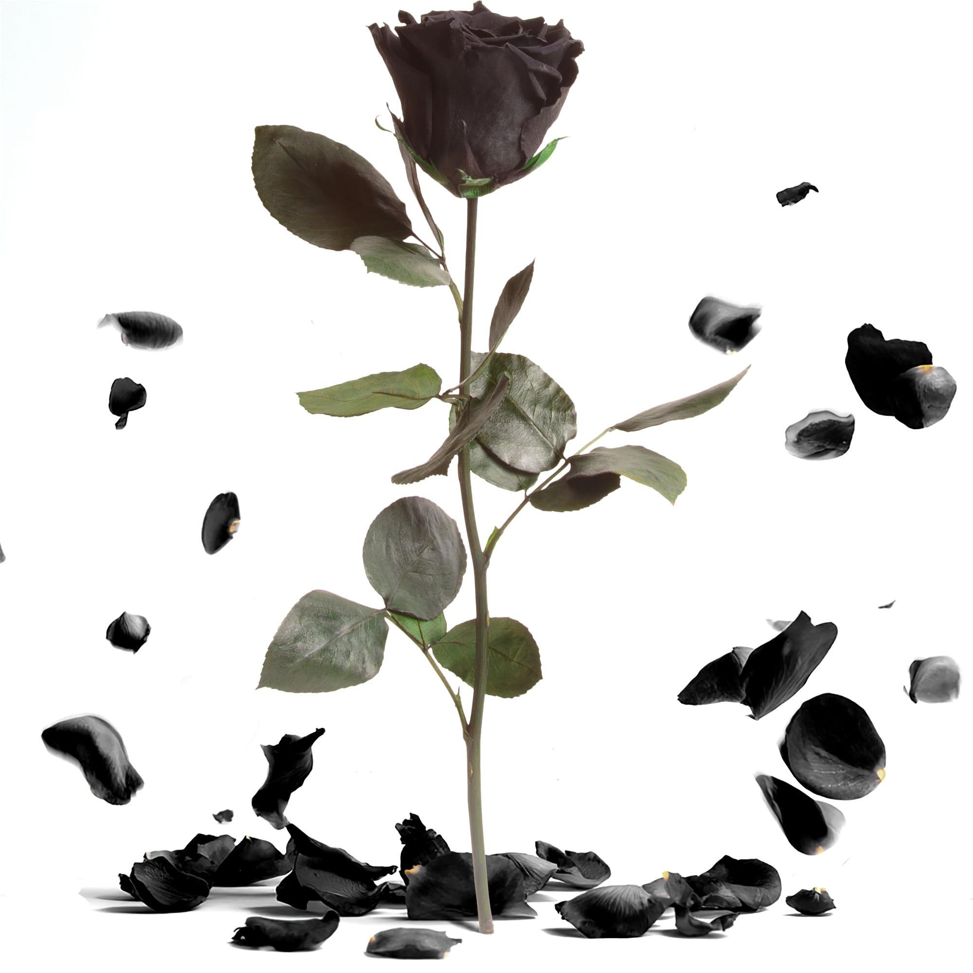 Rose éternelle avec tige cadeau romantique et de décoration durable