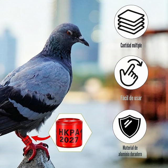 Foto 6 de 7 de 100 Anillos de Paloma de Aluminio Multicolor para identificar Cintas de plástico con Entrenamiento HKPA 2027…