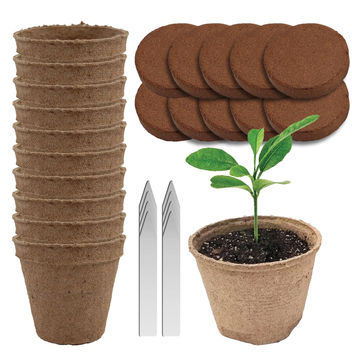 Garden Haven Seed Starter Kit
