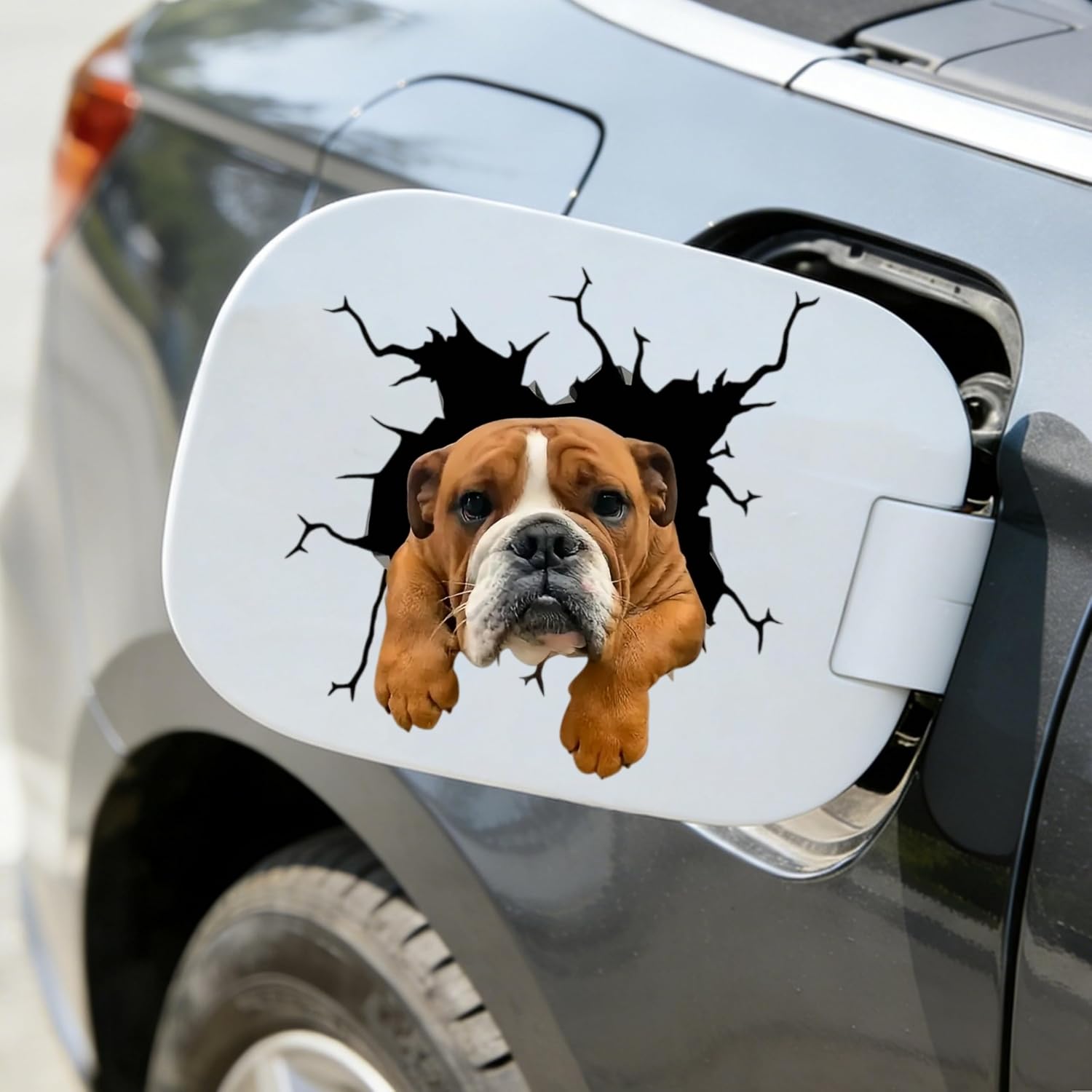 Waterproof English Bulldog Car Stickers – Glossy Vinyl car Decals, Durable Bumper Stickers and Decals for Vehicles for Cars, SUVs, Motorcycles, Laptops, Suitcases, Tablets, 2 Pack image 5