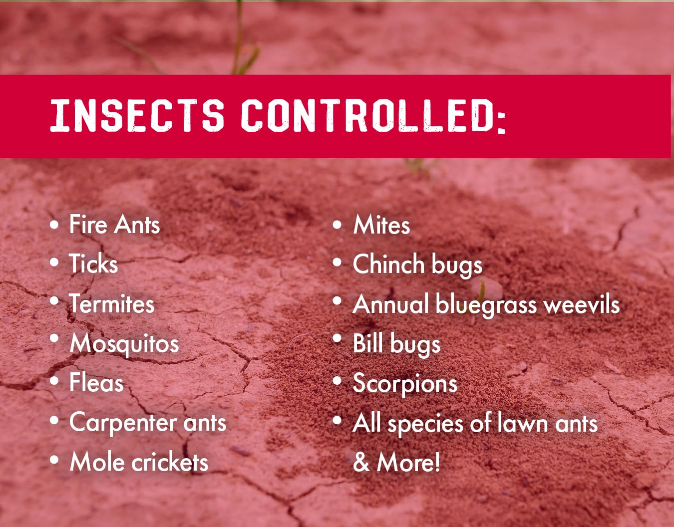 7.9% insecticida bifentrina - 32 onzas - (comparado con las marcas líderes) - Control profesional de insectos - mata al contacto - Hormigas de fuego, garrapatas y más 6