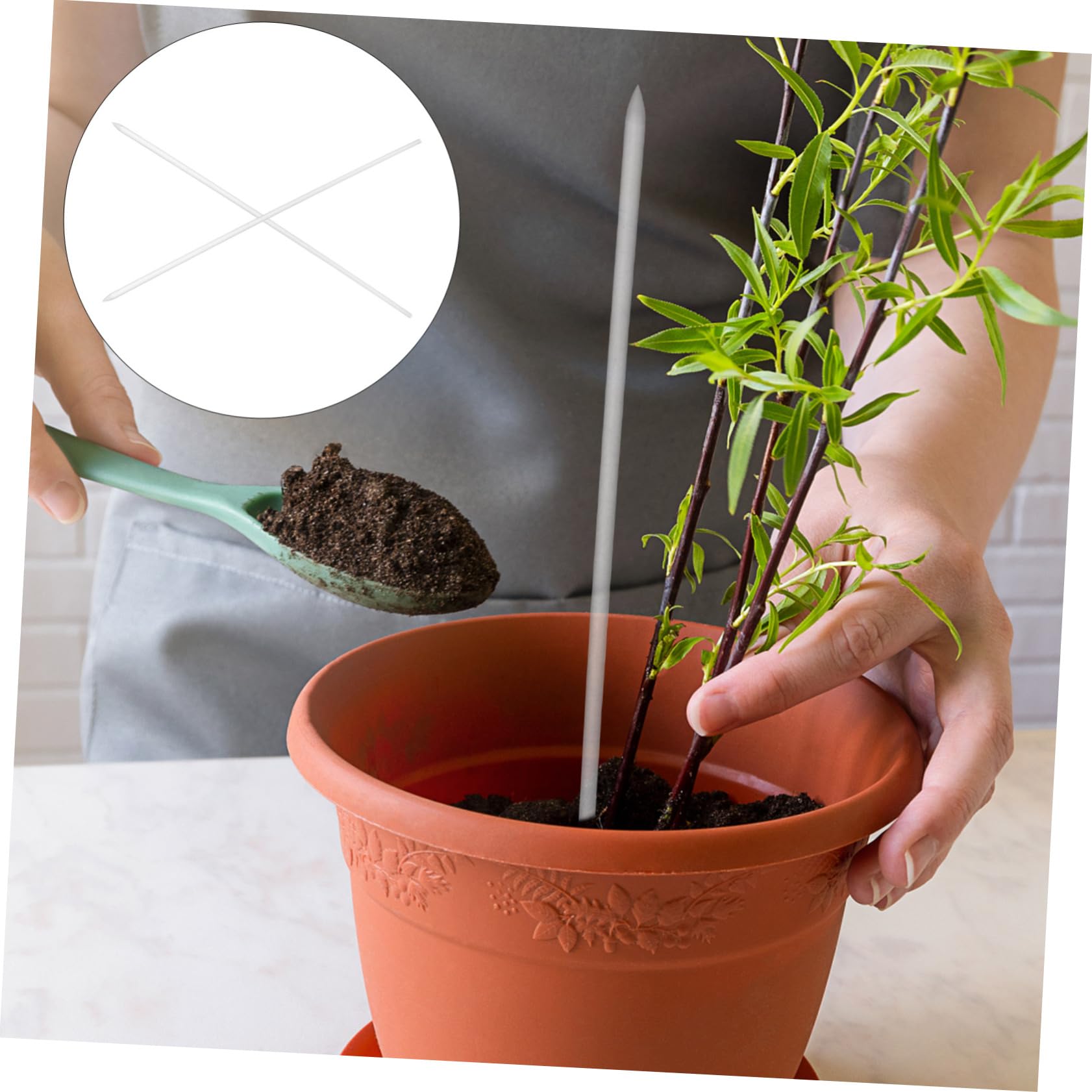 Toddmomy 2 Ensembles Supports De Plantes Transparent pour Plantes Grimpantes Accessoires De Jardin 16 Pièces * 2