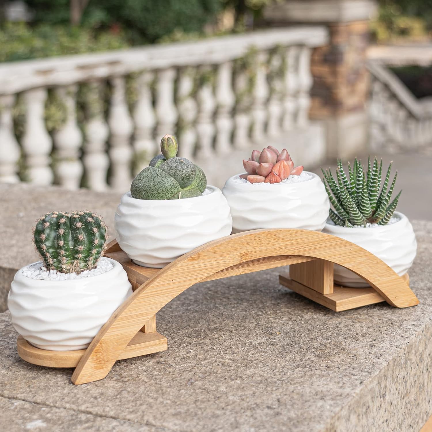 E-liu Succulent Pots and Stand Set, Ceramic White Succulent Planter Pot with Drainage, Pack of 4, Cute Office Garden Indoor Decoration, Plants Not Included