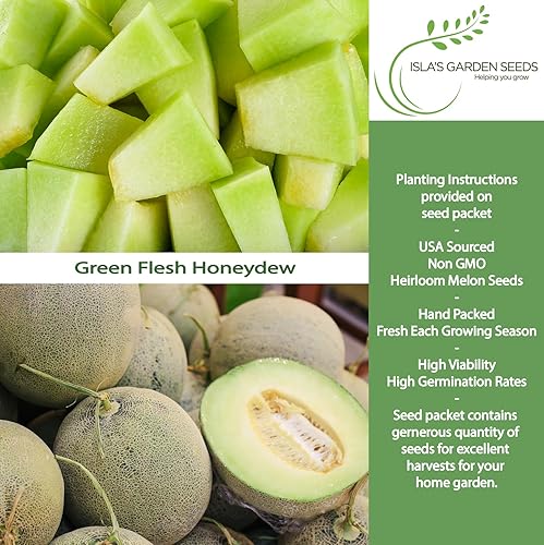 Miniatura 2 de Semillas de miel "Green Flesh" para plantar, más de 50 semillas de reliquia por paquete, semillas de jardín de Isla (semillas de jardín de Isla),