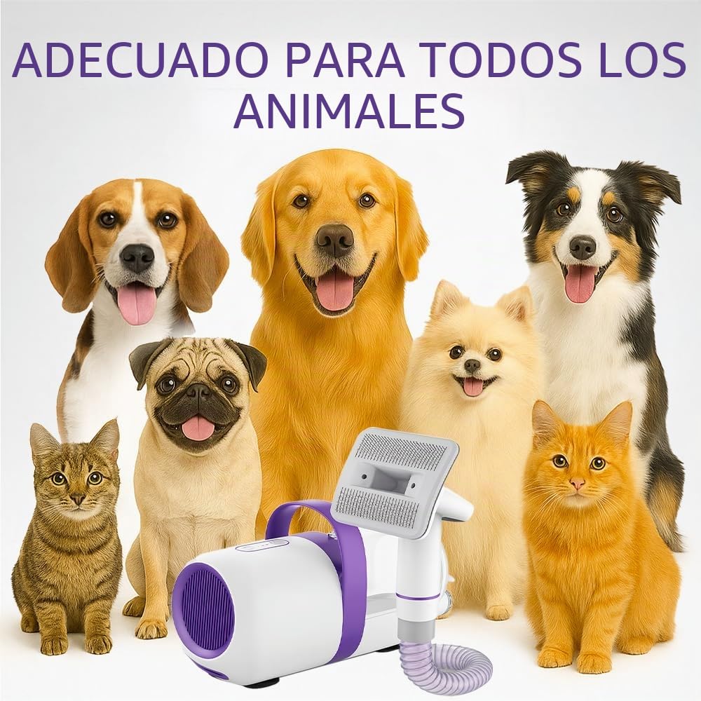 Aspirador para perros con cepillo – Dispositivo de aseo y eliminación de pelo 2 en 1, silencioso y potente – Aspirador de pelo de mascotas para casa, sofá y coche con accesorios incluidos