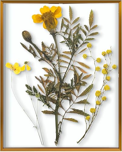 Vista 27 de Frametory, Marco de fotos flotante de 8 x 10 pulgadas, marco de fotos de metal de aluminio negro, cristal real de la parte delantera, para pantallas