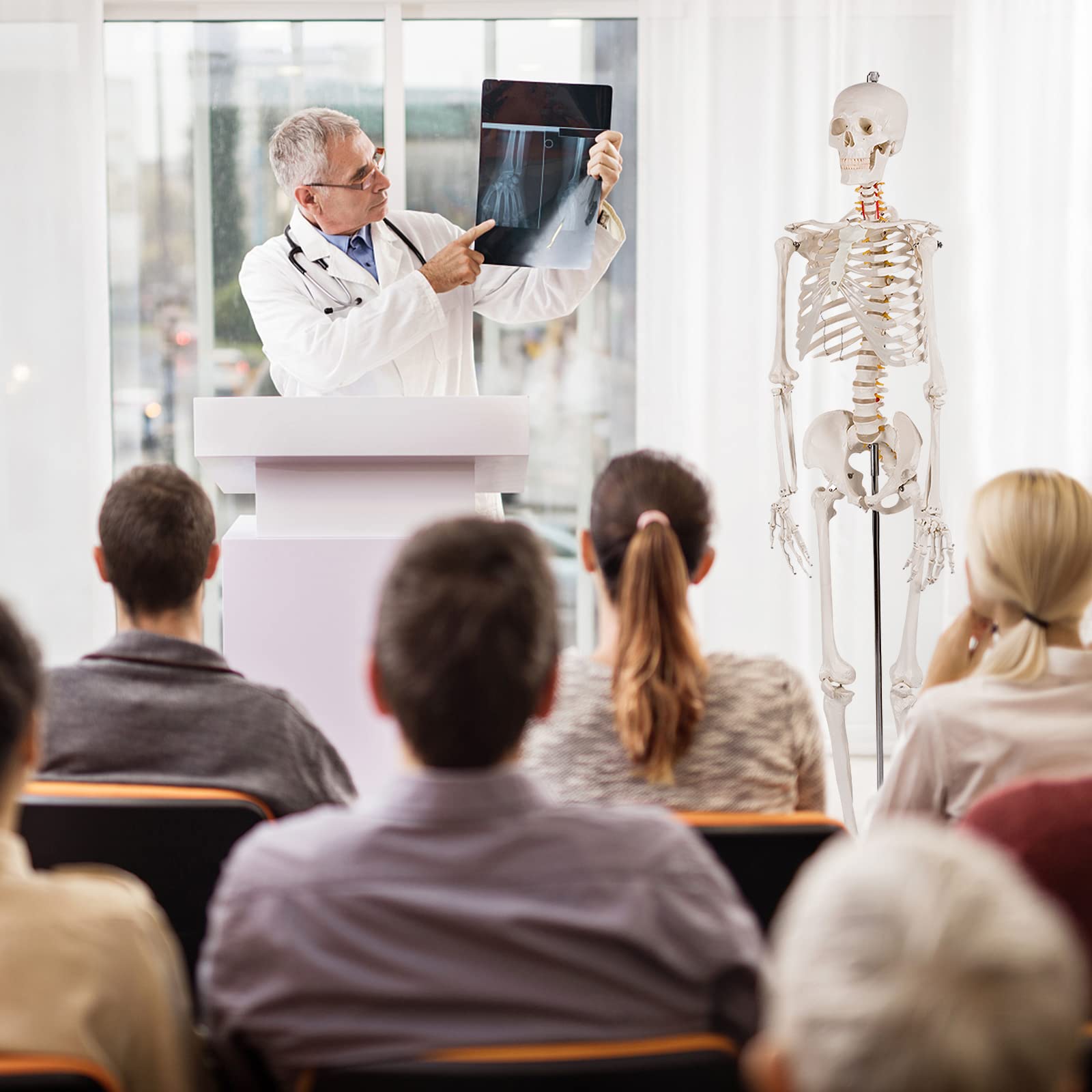 Buy COSTWAY 180cm Life Size Human Skeleton Model, Medical Anatomical