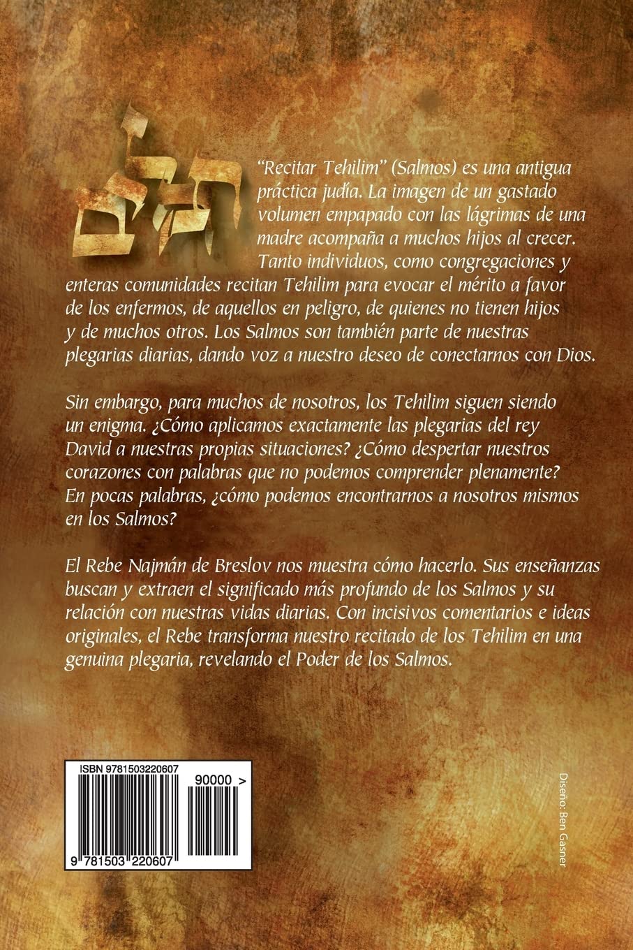 El Poder de los Salmos - Libro I - Salmos 1-41: Ideas e Inspiración Tomadas de las enseñanzas clásicas de Breslov Para enriquecer la Lectura de los Tehilim: Volume 1