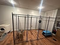 Review Image by Wayne