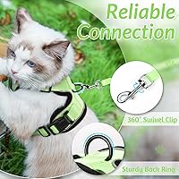 Vista 163 de rabbitgoo Arnés y correa para caminar, a prueba de escapes, chaleco suave y ajustable para gatos, fácil de controlar, transpirable, tiras