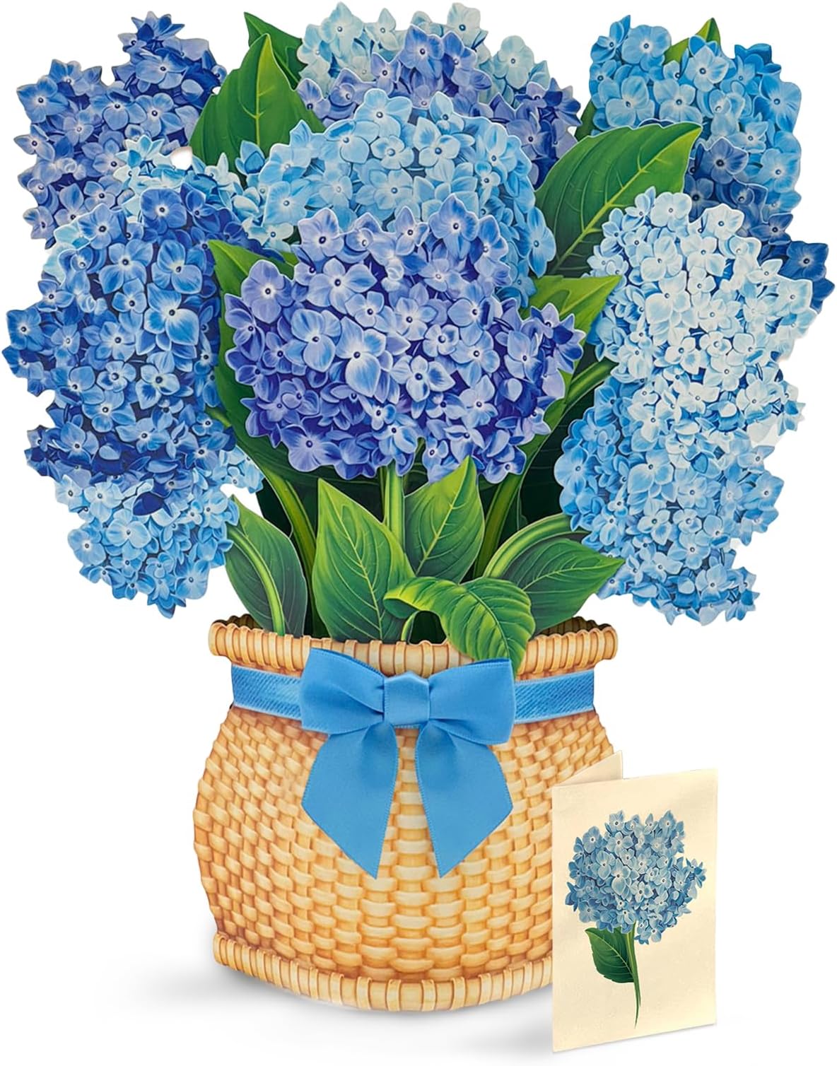 Freshcut Paper Nantucket Hydrangeas 12" Life-Sized 3D Pop Up Card | Includes Greeting Card and Envelope – Notecard for Birthday, Anniversary & More, Gifts for Mom & Her
